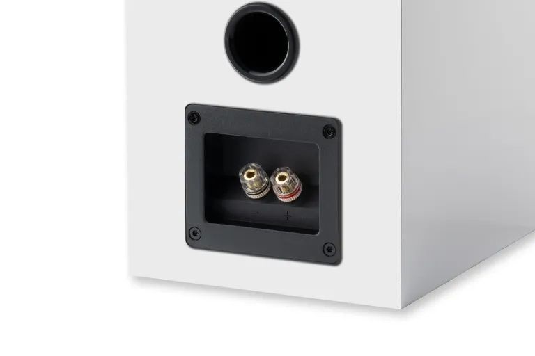 speaker_box_5_e_white_detail_terminals.jpg